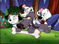 Mooch's gang takes Rolly's bone.