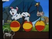 Rolly, Cadpig and Spot balancing on balls