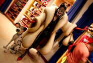 Pongo and Cruella in Downtown Disney Store.