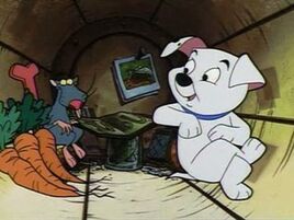 Rolly Swamp Rat DWTPDL