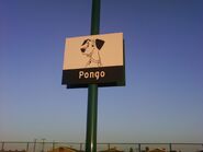 Pongo Parking Sgn?