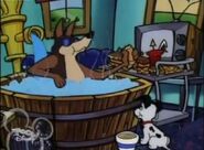 Thunderbolt in his hot tub with Lucky