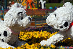 "101 Dalmatians" flower display at Disneyland Paris.