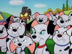 Rolly confesses to the other Dalmatians