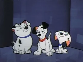 Lucky Cadpig Rolly WTSTSITTGRDDL