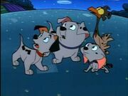 Lucky Cadpig Rolly Spot SWPTTOTCTDL.jpg