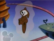 Cadpig wearing clothes from medival times