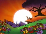 Cadpig and Mooch watching the sunset