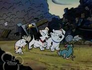 Swamp Rat with Lucky, Rolly, Cadpig and Spot