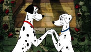 Pongo and Perdy