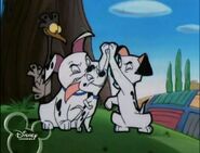 Cadpig, Lucky and Rolly clap paws