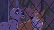 101-dalmatians-2-disneyscreencaps.com-6077