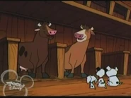 Lucky, Cadpig & Rolly ask Duchess & Princess on what "Yow" means