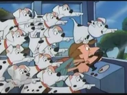 Pups Roger Bus Point.jpg (43 KB)