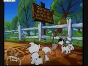 Pups OCOUPAA