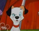 101 dalmatians series Chow About That115