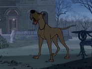 A58f667e948ad5778da8563af5d6280c.jpg (40 KB)