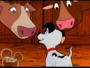 Lucky makes a campaign promise to Duchess and Princess