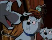 Pongo, Rolly, Spot, and Cadpig