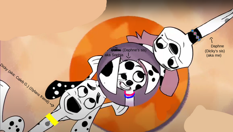 Cam.png