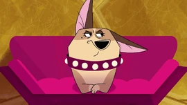ClarissaAnticipatingDogHouse