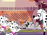 Triple D/Gallery/Season 1
