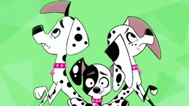 WoofDylanDollyDeepakGreen