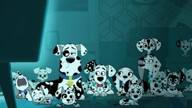 BetterDalmatiansTV
