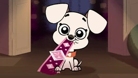 DiamondDorothyCollarChew