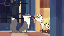 WallsDollyConstantin