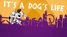 Dog’sLife