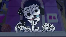 BalancingDylanSupportingPups