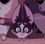 Waffles.jpeg (52 KB) Prince Waffles (Pixie Davies)