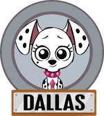 Dallas Portrait