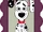 Dalmatian Family