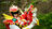 Donkyoryured's avatar