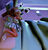 RH.reese.333's avatar