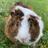 MisterBaconPoutine's avatar
