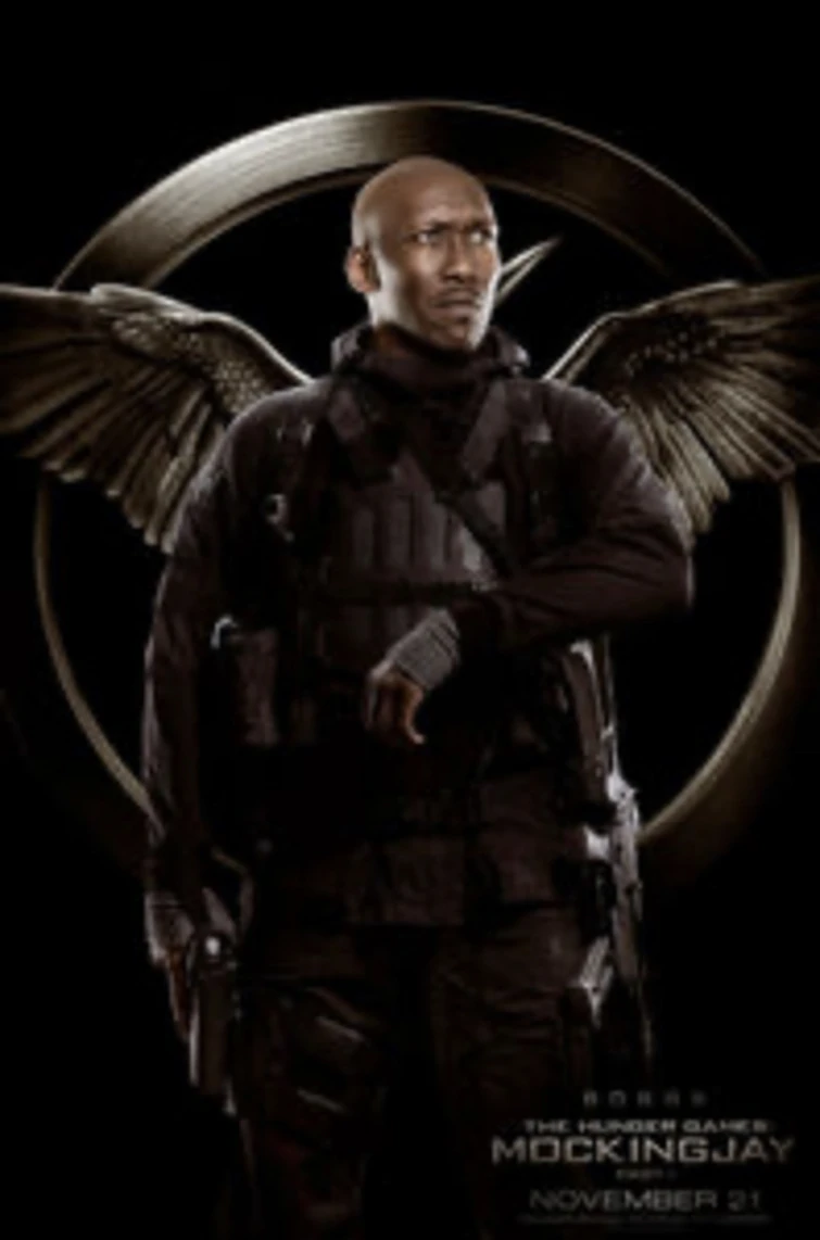 Discuss Everything About The Hunger Games Wiki | Fandom