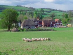Little-Lamb-Village.jpg