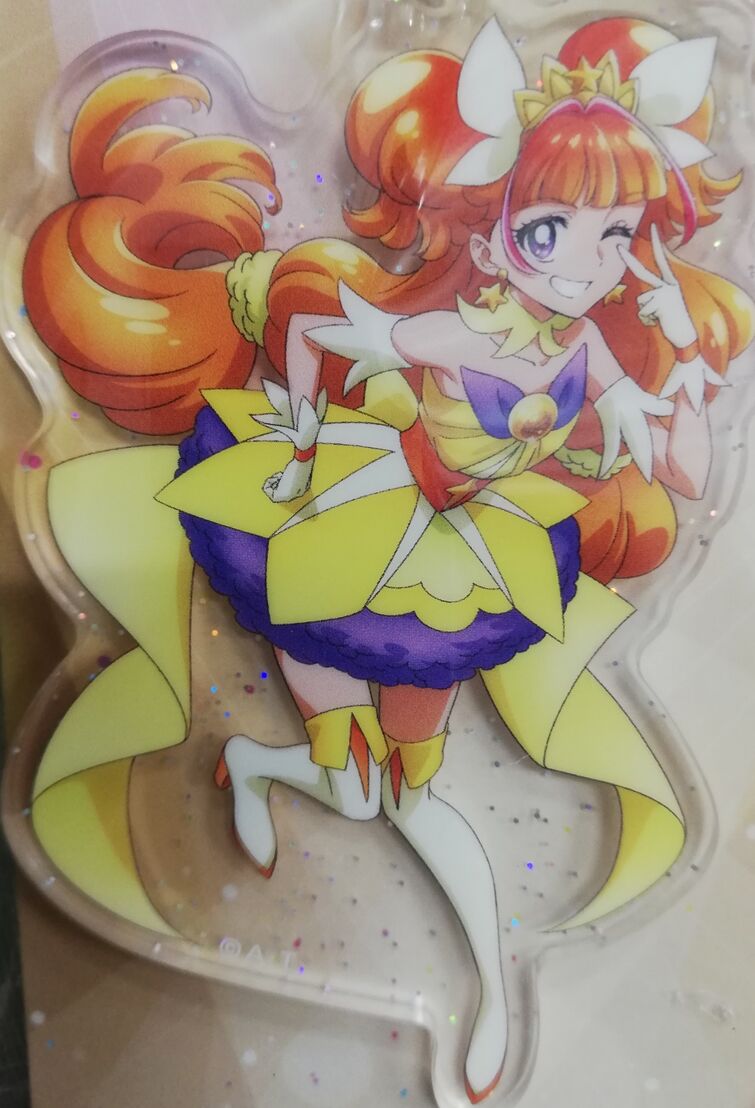 Pretty Cure Precure Acrylic Keychain 10 Bulk set Healin Delicious a La Mode