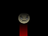 MRHORRORSHOW1030's avatar