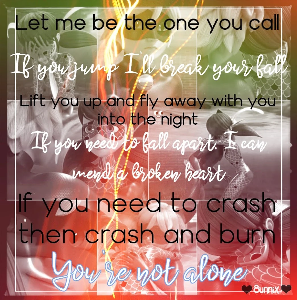 Day 57 Miraculous Edit Ladynoir Fandom