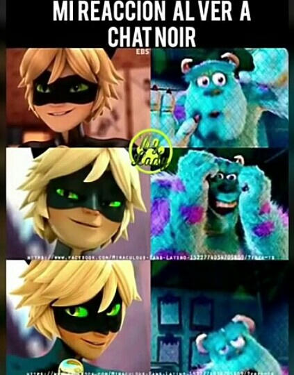 Fandom S Reaction To Chat Noir Fandom