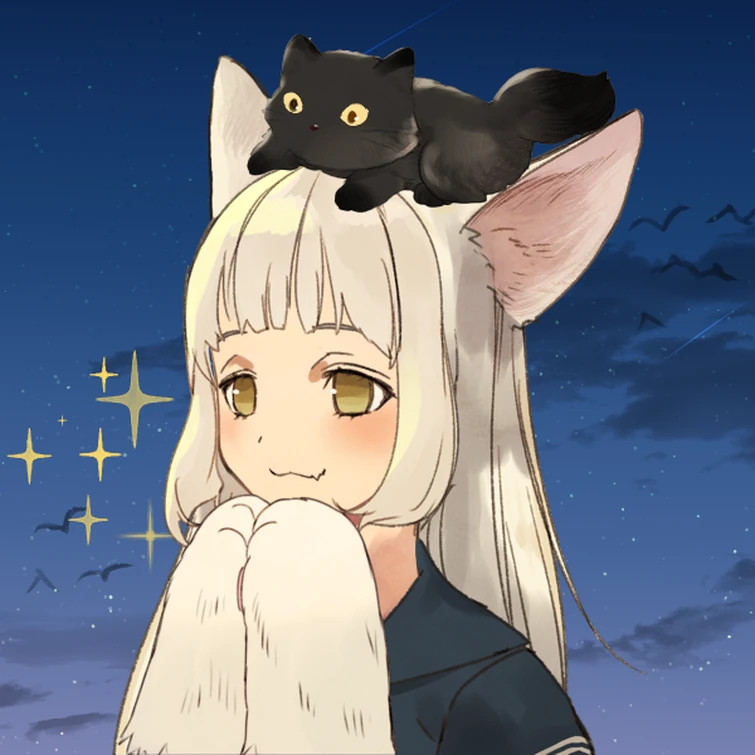 Fandom Image