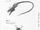 11eyes SDAG Larvae Concept2.jpg