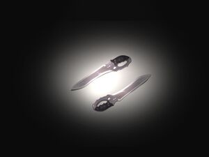 11eyes RF Heckel&Jackel CG1.jpg