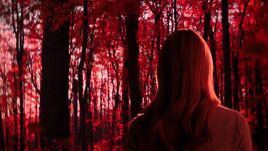 The Red Forest 1x06