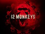 12 Monkeys