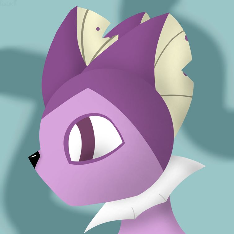 Fandom Image